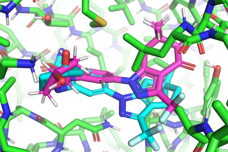 AI and the rapid search for drug molecules