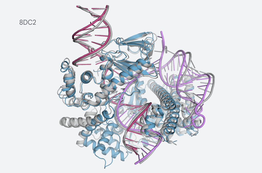 The latest AlphaFold model now covers a variety of biological molecules