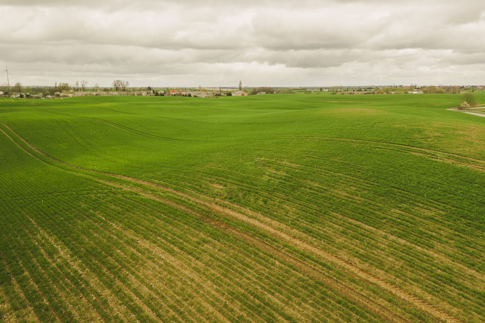HeavyFinance spearheads the regeneration of 300,000 farmland hectares in Ukraine